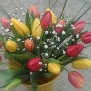 Bouquet de saison tulipes