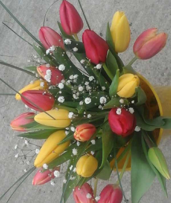 Bouquet de saison tulipes
